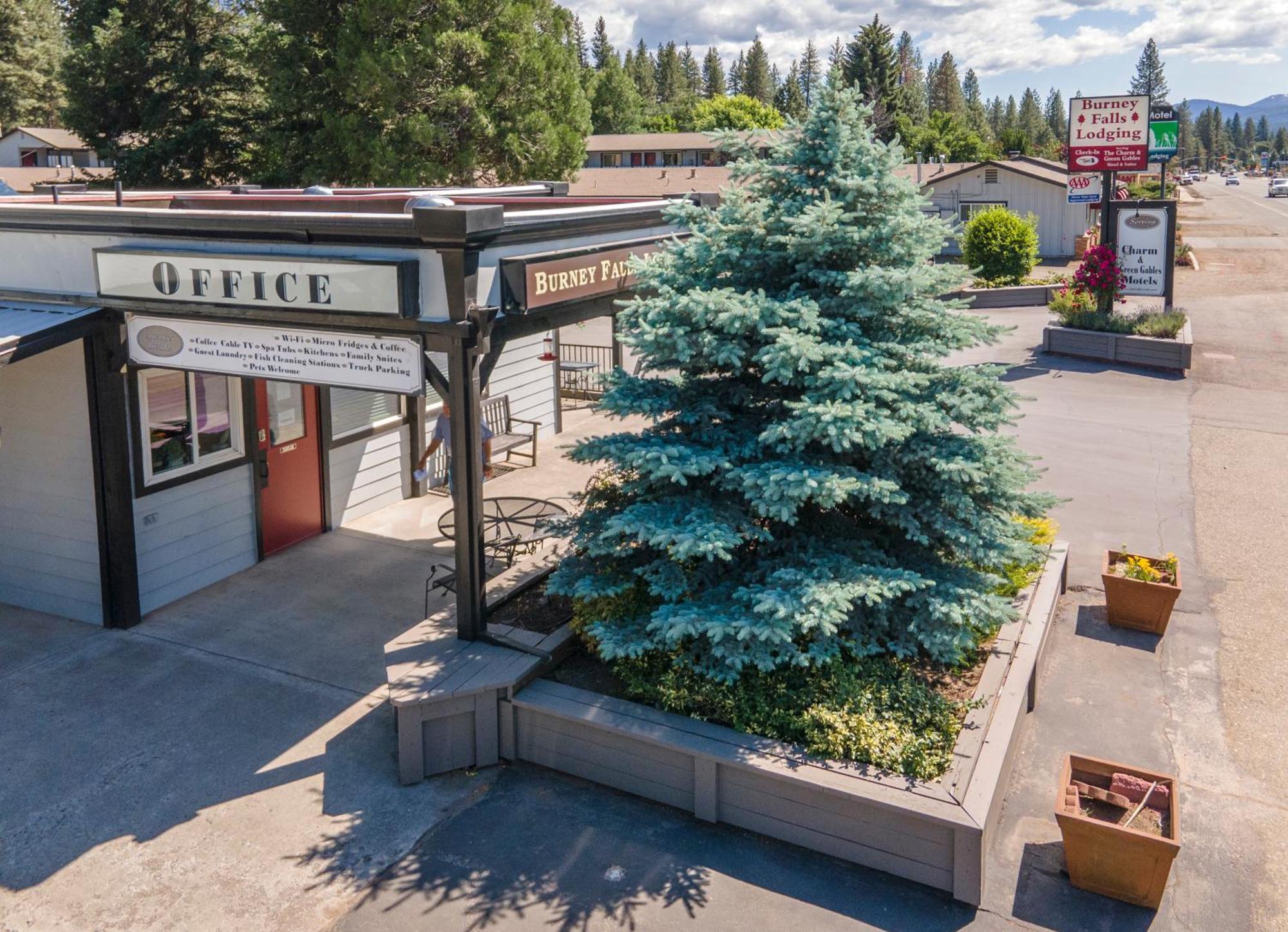 Charm Motel & Suites Burney Kültér fotó